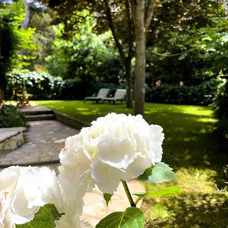 Apartment Balthazar Rovinj Dış mekan fotoğraf
