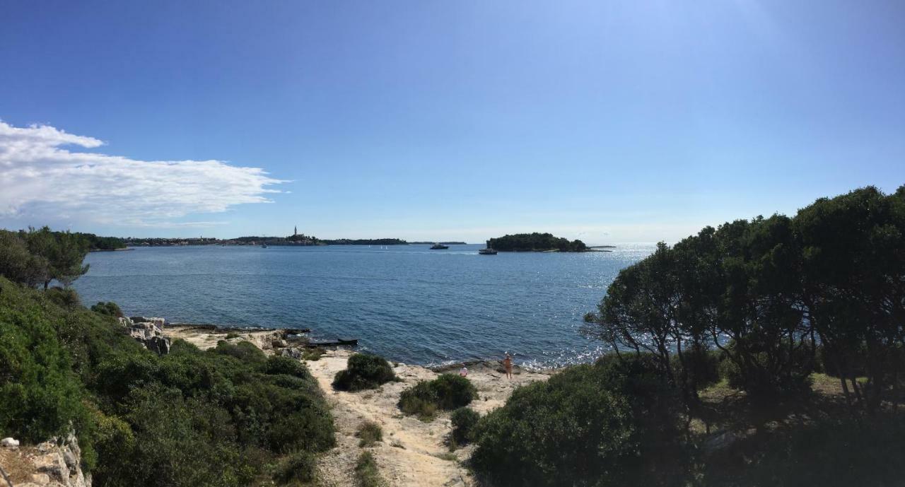 Apartment Balthazar Rovinj Dış mekan fotoğraf